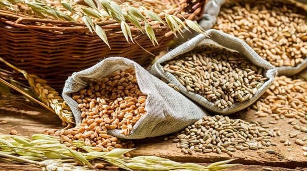 Wheat prices ruling high, as no open market sales by FCI